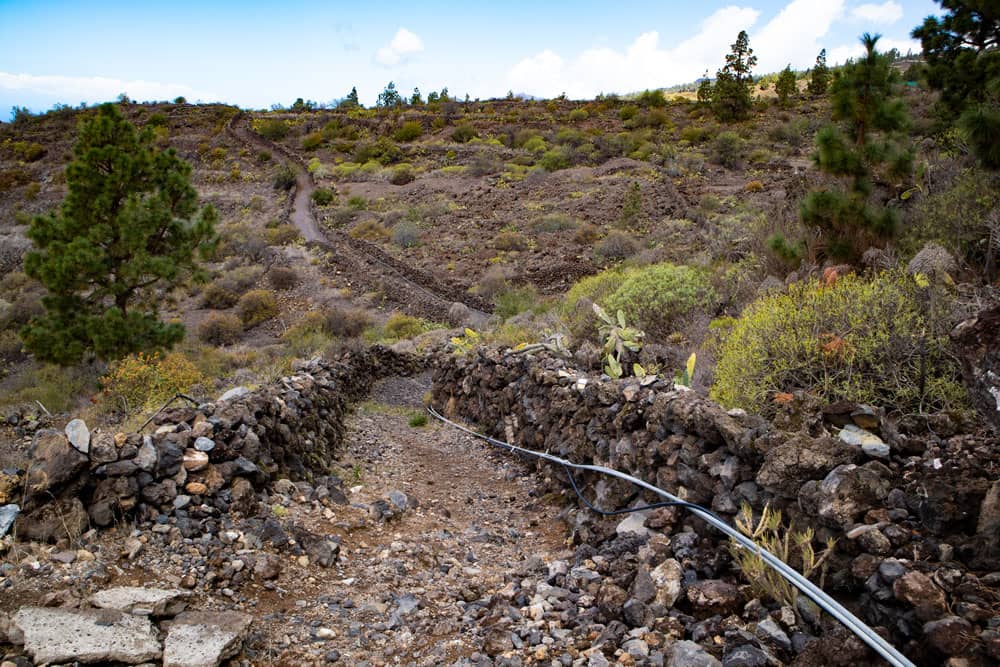 Ruta de senderismo justo antes de Guía de Isora