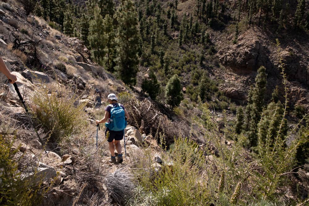 Descent into the Barranco Mañoca on narrow paths