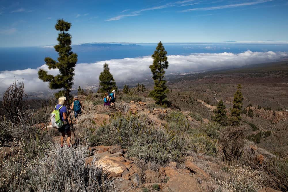 Hiking trail along the Camino Lomo de las Vistas ridge