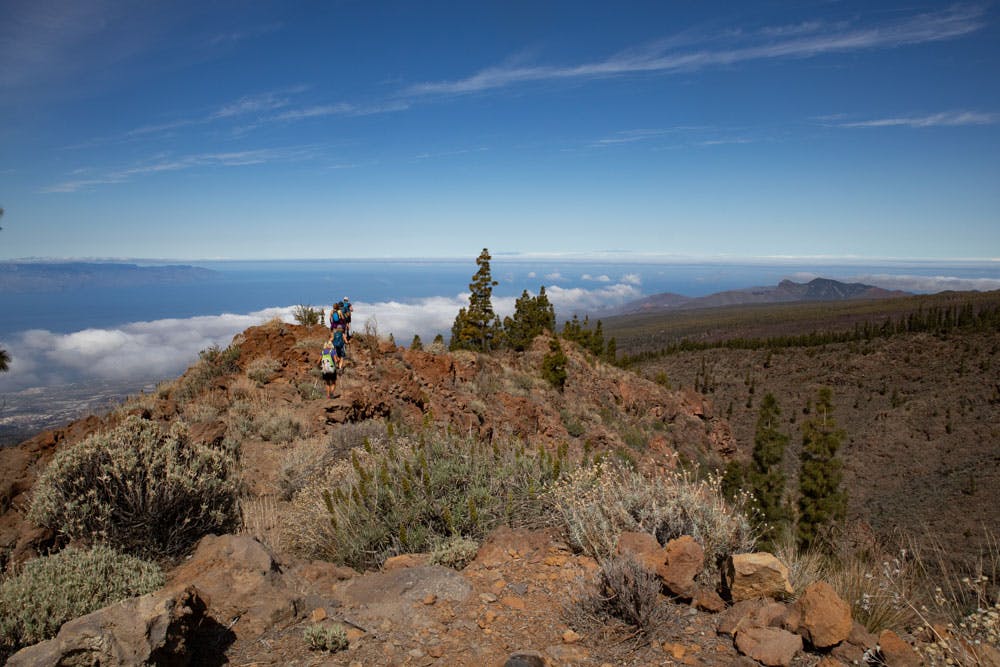 Montaña de Chasogo – Great hike on the western slopes of Tenerife