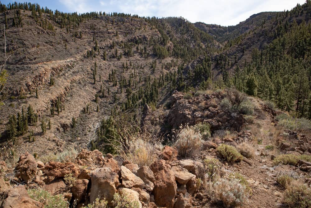 Hiking trail over the Barranco de Los Cedritos