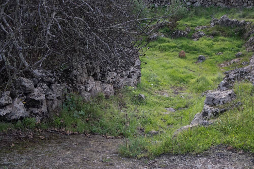 Hiking path junction in front of Tajace de Abajo - road or green hiking path? You have the choice