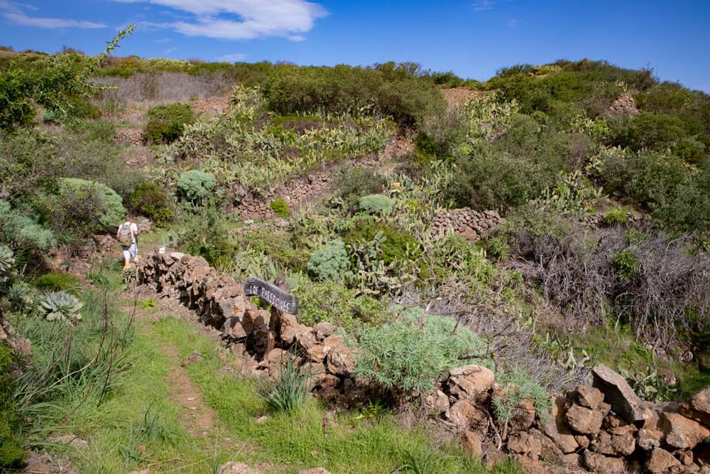 Hiking trail through a lot of green along the steep coast near Isora