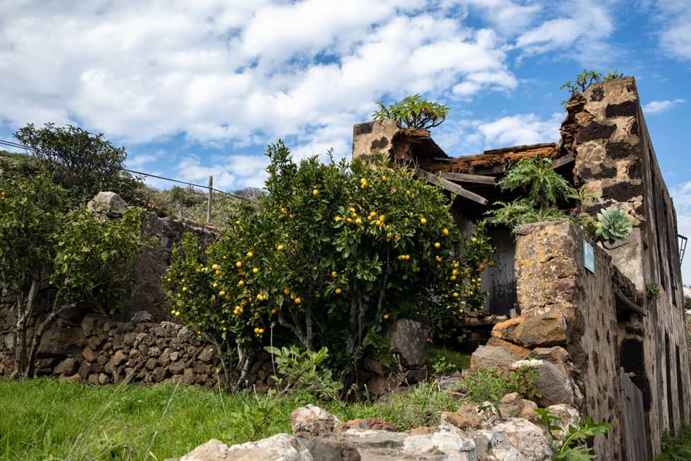 Alte Steinhäuser und wilde Obstwiesen am Wegesrand