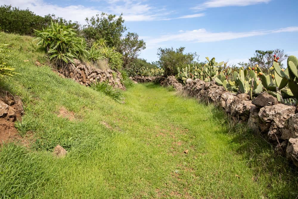 green hiking path below La Cueva back to San Andrés