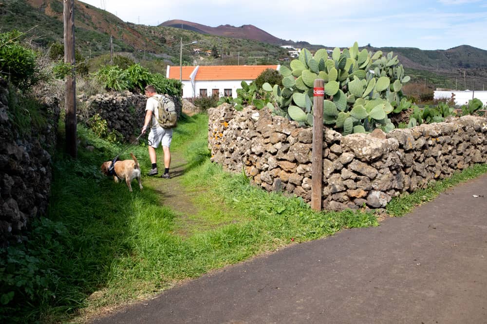 Ruta de senderismo cerca de Isora