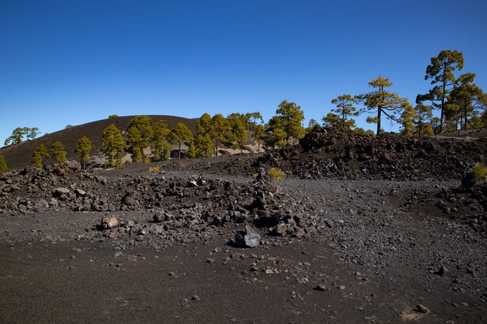 Black volcanic landscape, green pines and blue sky