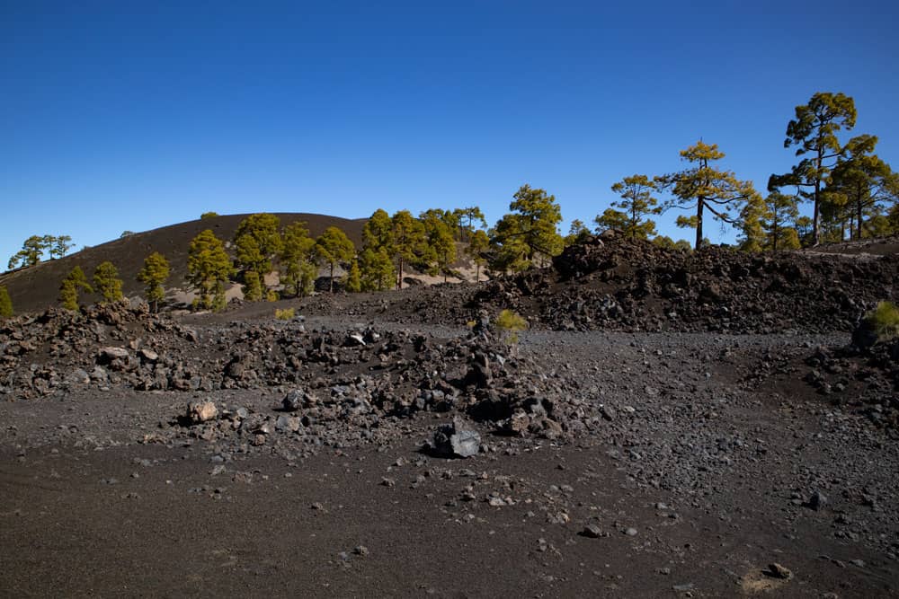 Paisaje volcánico negro, pinos verdes y cielo azul