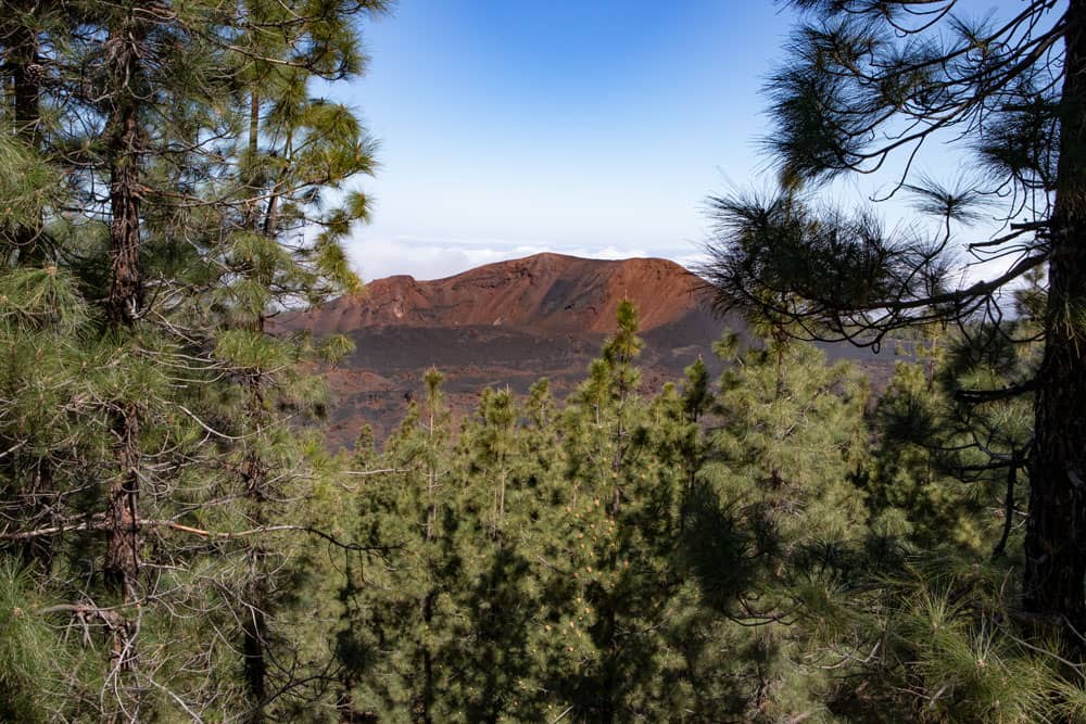 View of the Chinyero