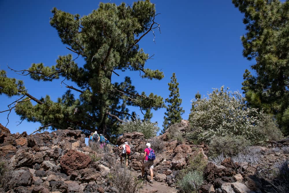 Hiking trail passes the Circular Chinyero