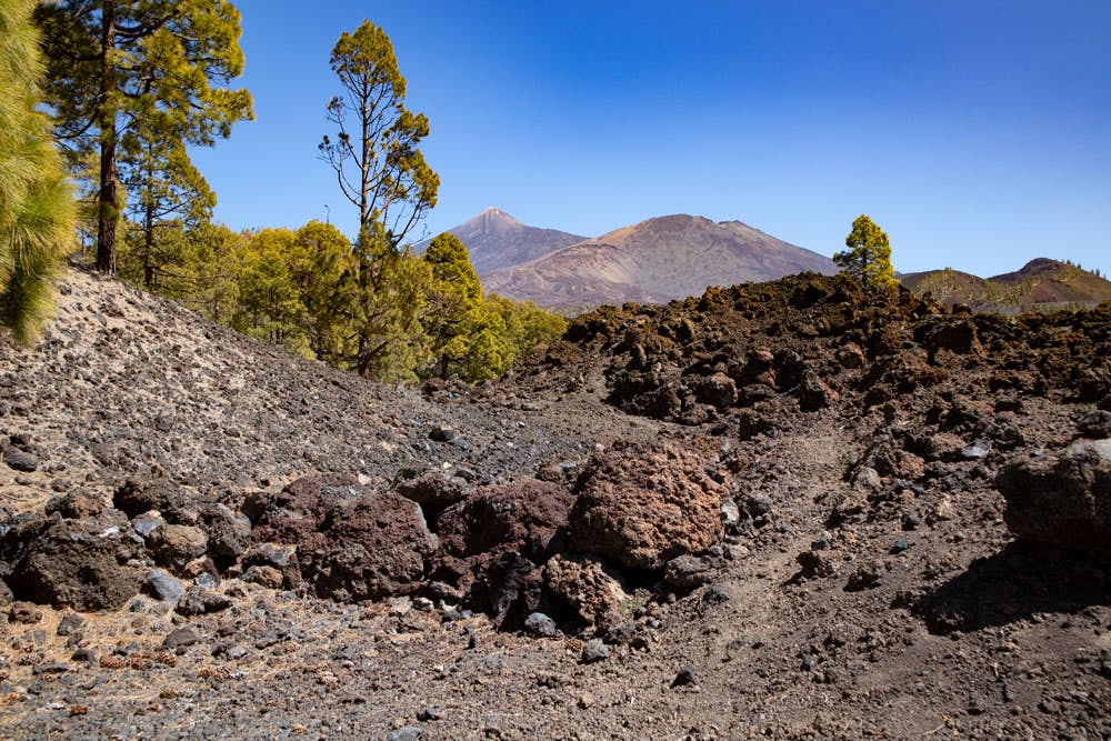 View on the Teide and Pico Viejo