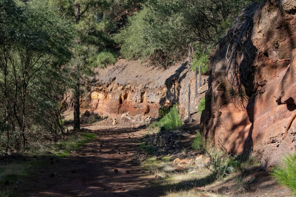 Wandern hoch über Candelaria - Abzweig schmaler Pfad vom Fahrweg