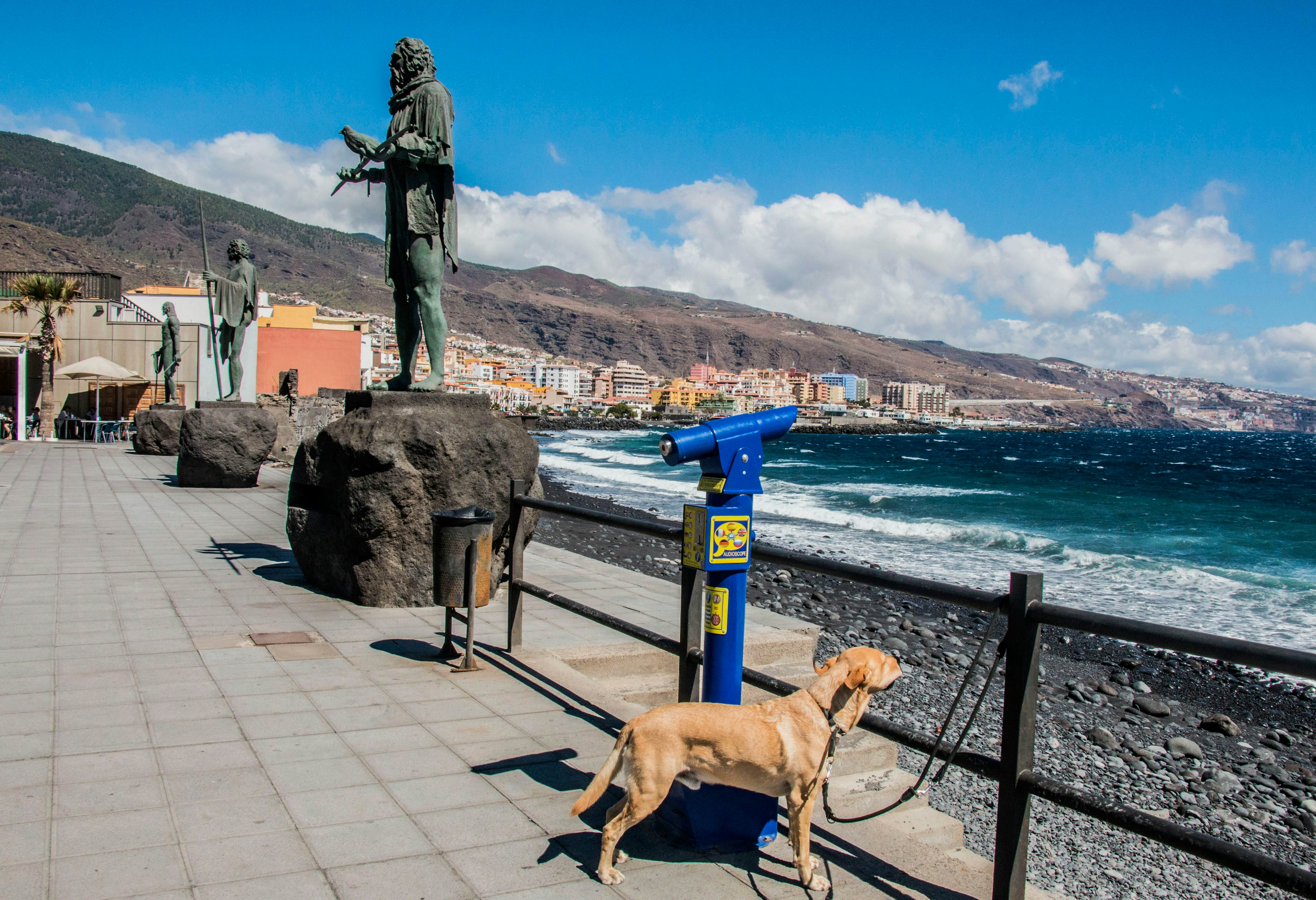 Candelaria and Guanche kings