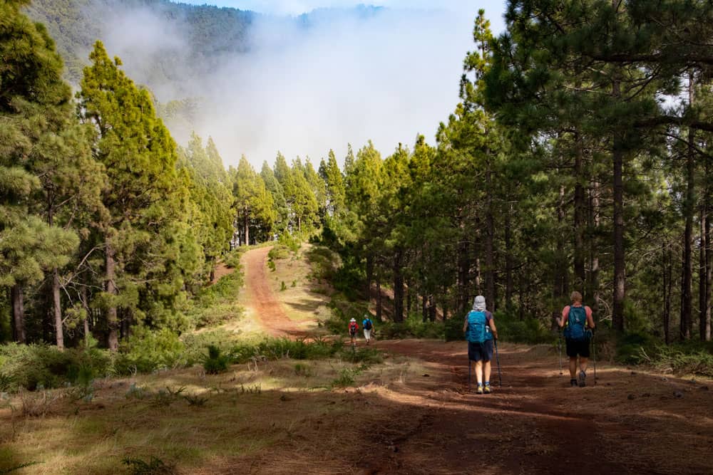 Hiking through forests and clouds