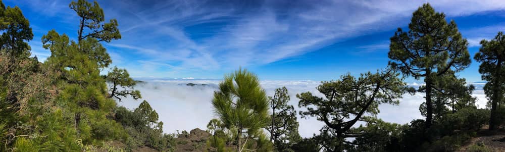 high above Candelaria