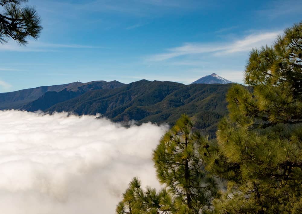 Blick auf den Teide und Wolken auf der Ostseite der Insel