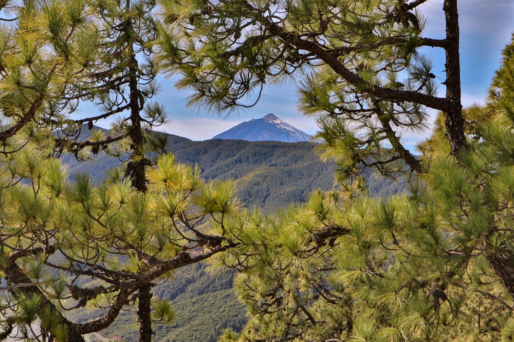 view on Mount Teide