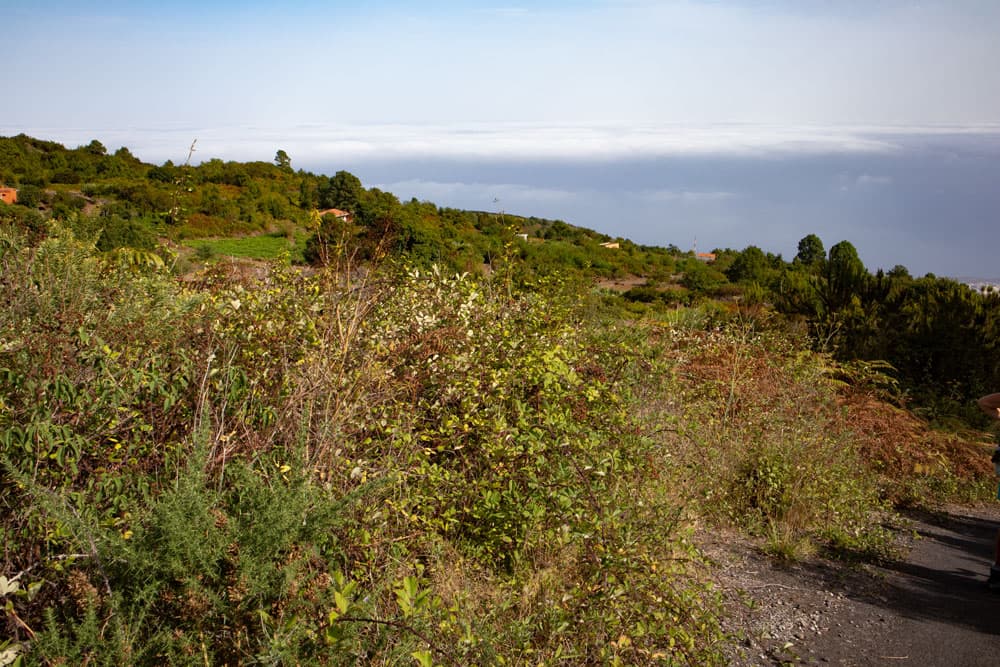 Hiking trail with a view of the north coast