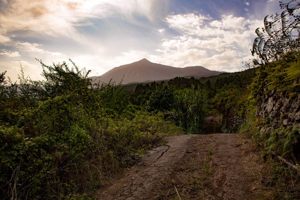 Blick auf den Teide vom Wanderweg