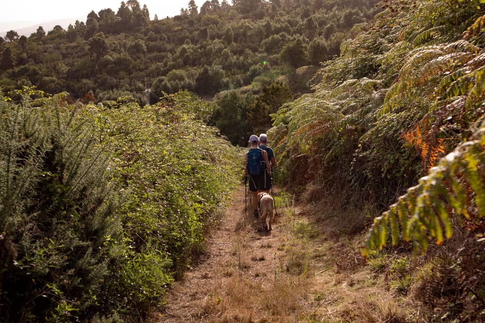 Wanderweg bei La Montañeta