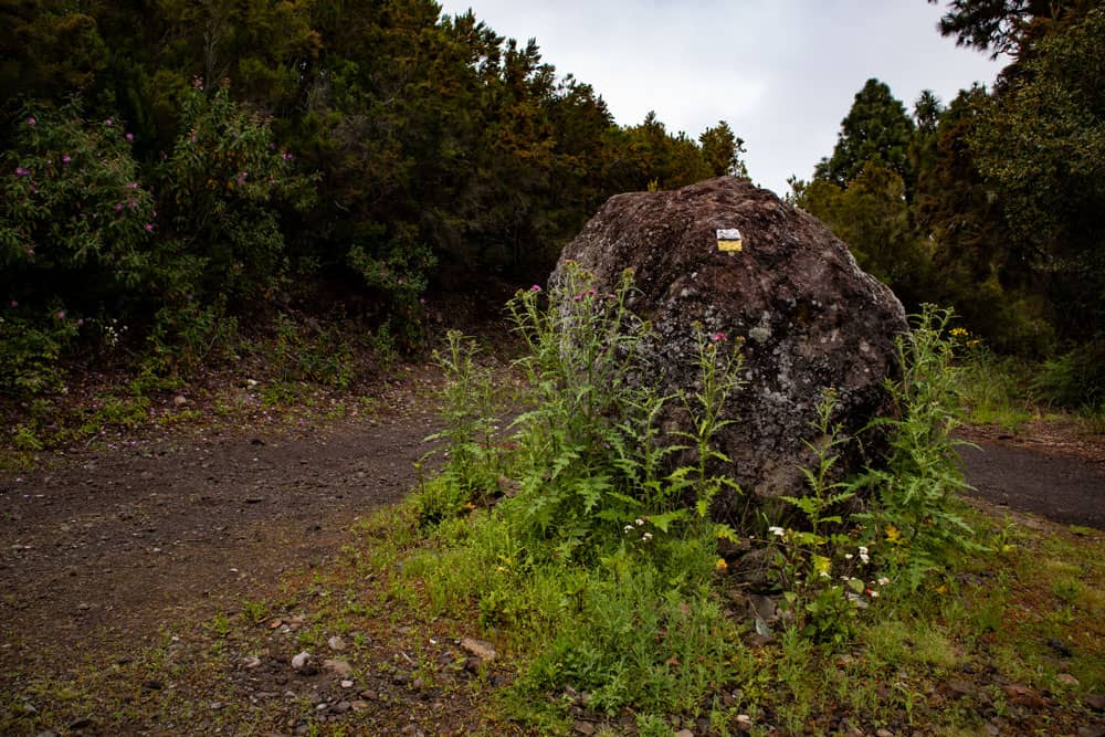 Hiking trail marking yellow white