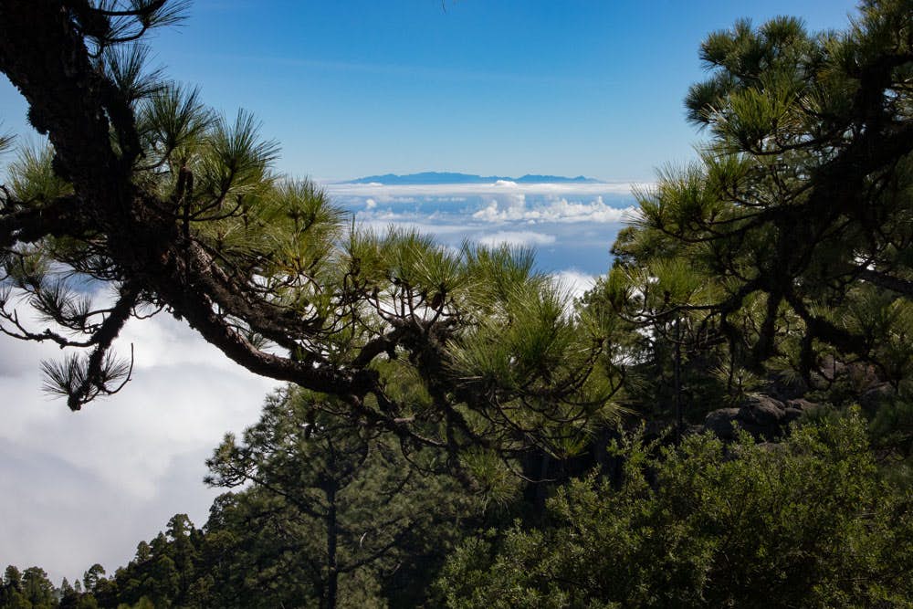 Gran Canaria en el horizonte por encima de las nubes