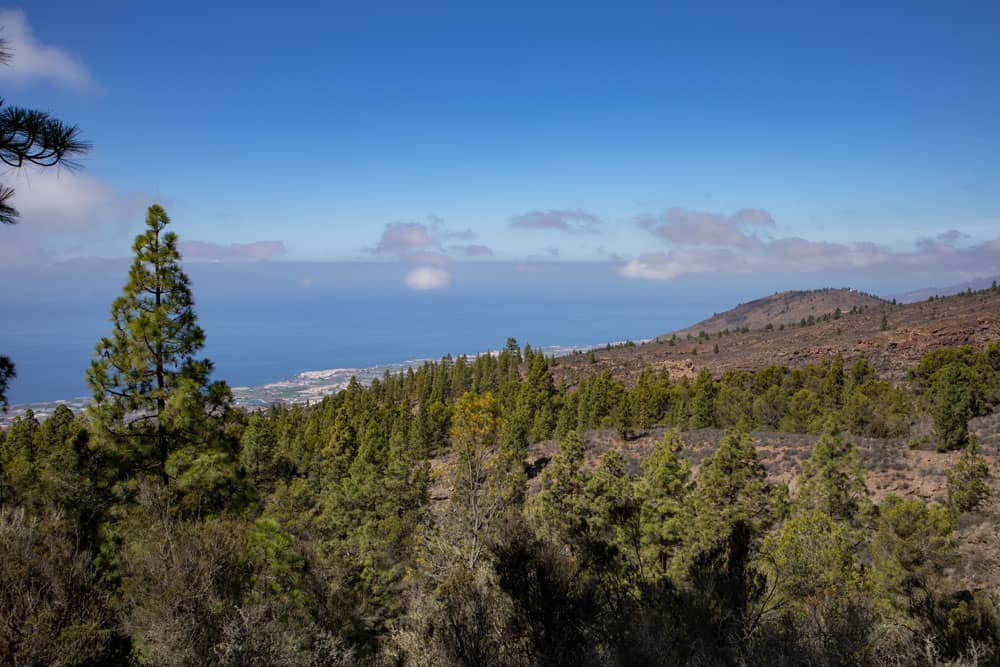 Blick auf die Küste vom Wanderweg in der Höhe