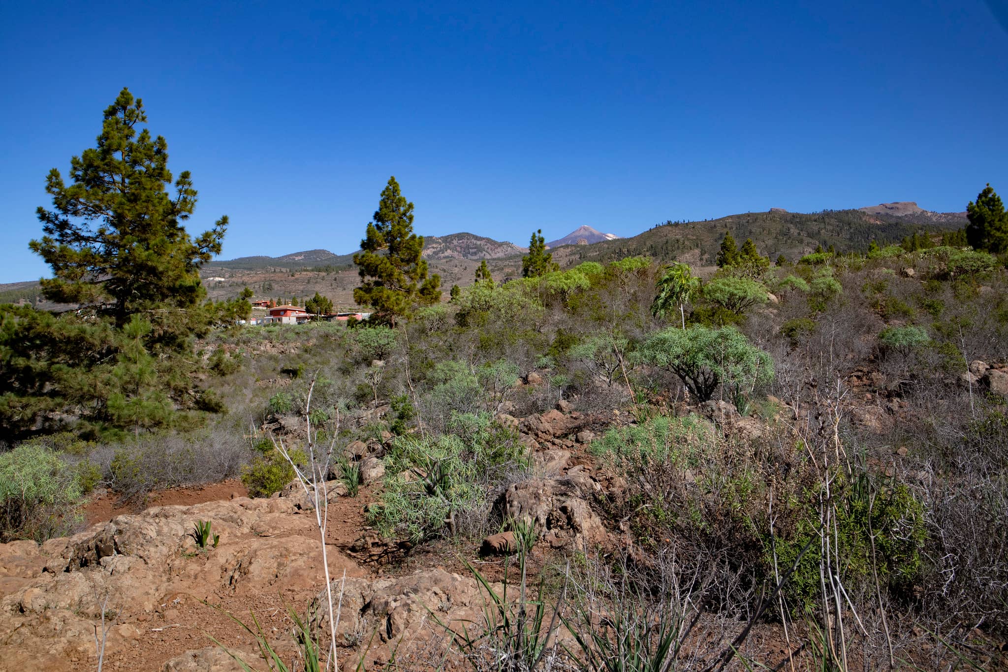 Hiking trail near La Quinta