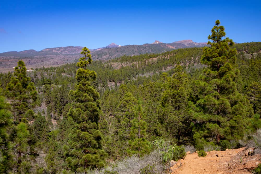 View of the Caldera and the Teide