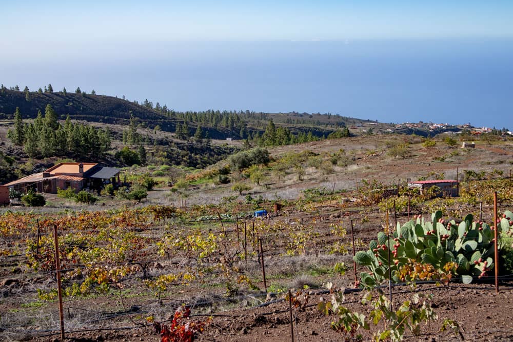 Hiking trail along gardens and vineyards