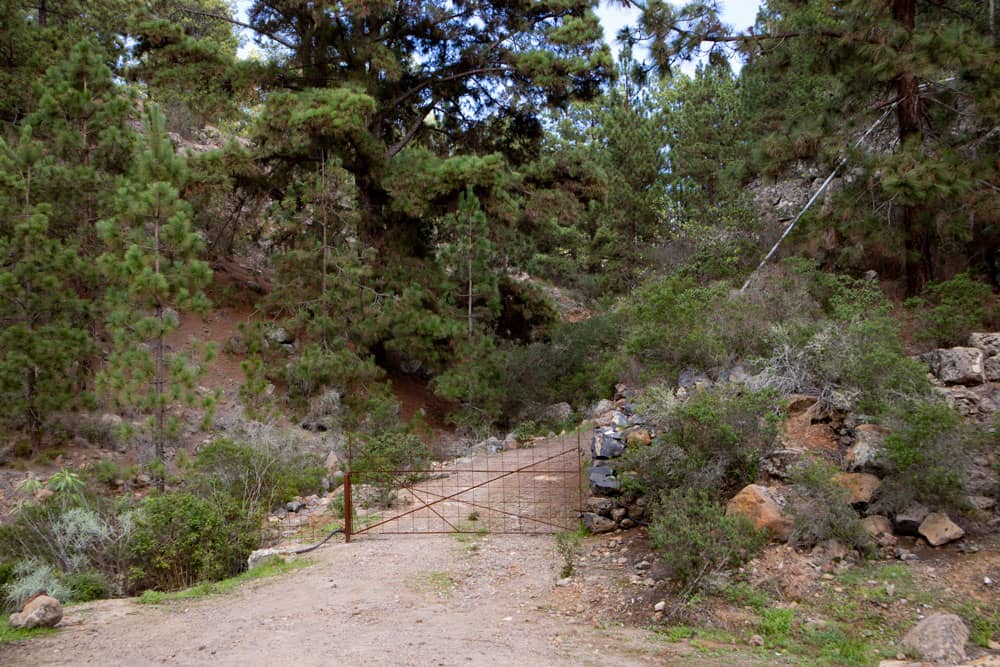 Salida de la caminata cerca de Ifonche