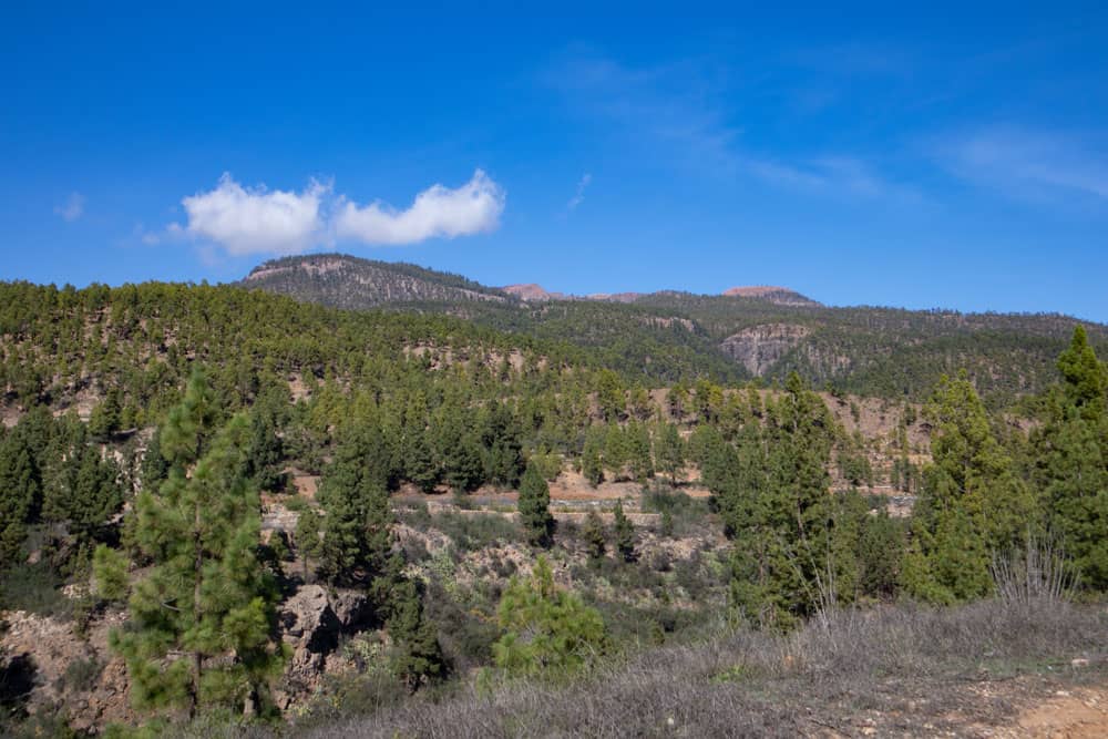 Vista hacia Cañadas desde la ruta de senderismo