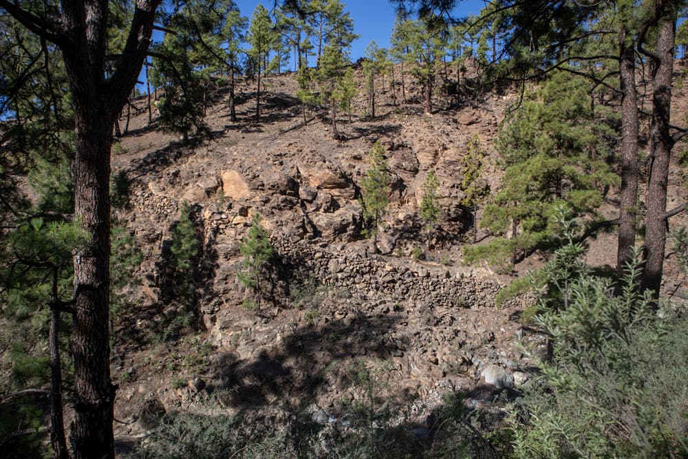 well paved hiking trails on the ascent to Vilaflor
