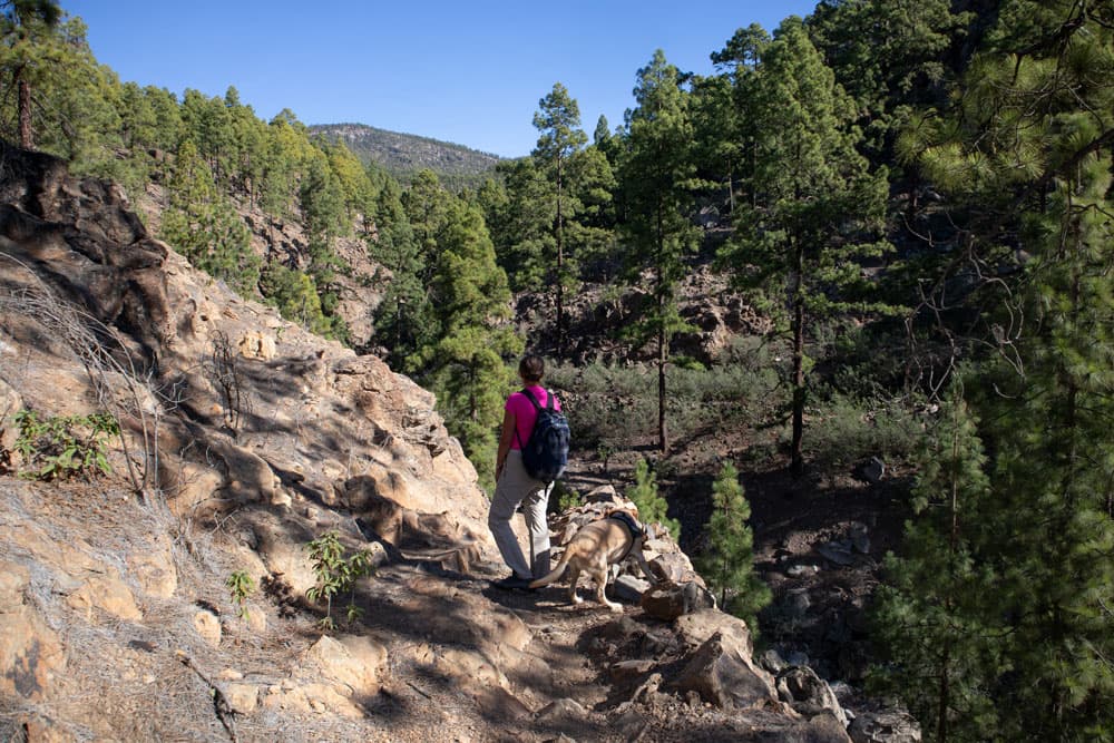 Wanderweg am Barranco entlang