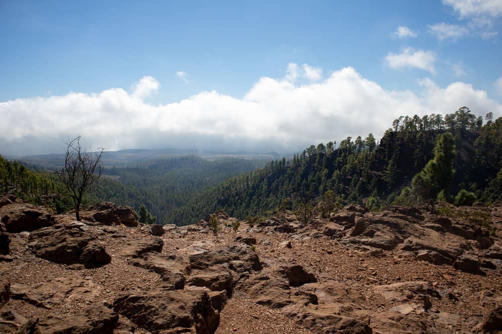 Vista desde las alturas de la costa sureste de Tenerife