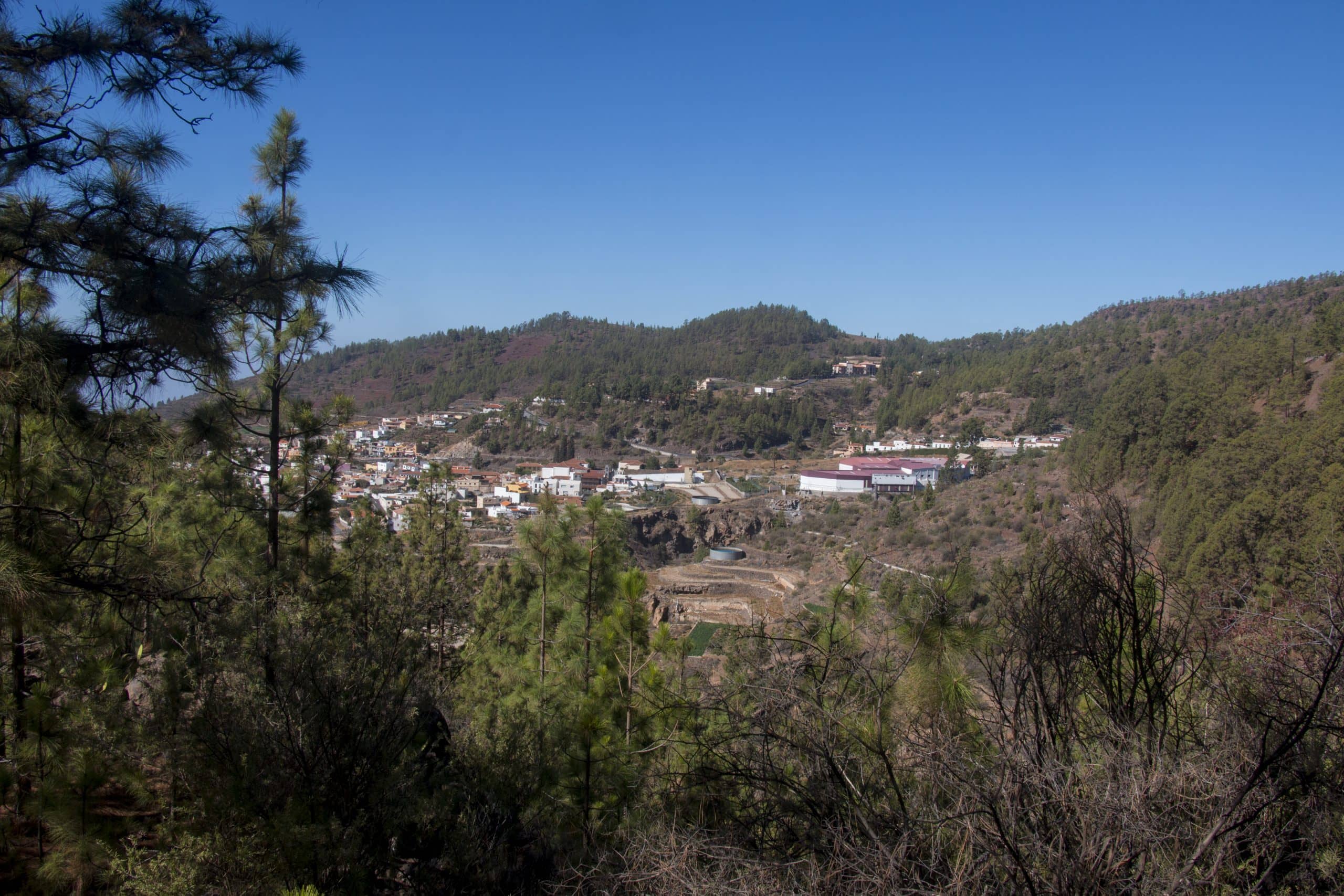 The mountain resort of Vilaflor at 1420 metres above sea level
