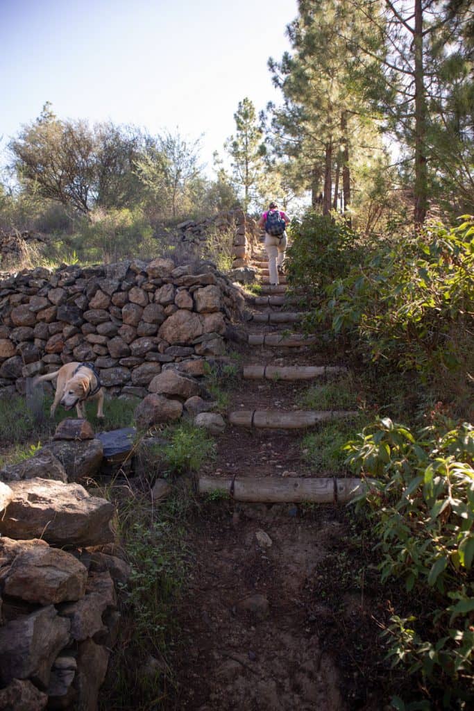 Ruta de senderismo - bosques, prados y granjas aisladas