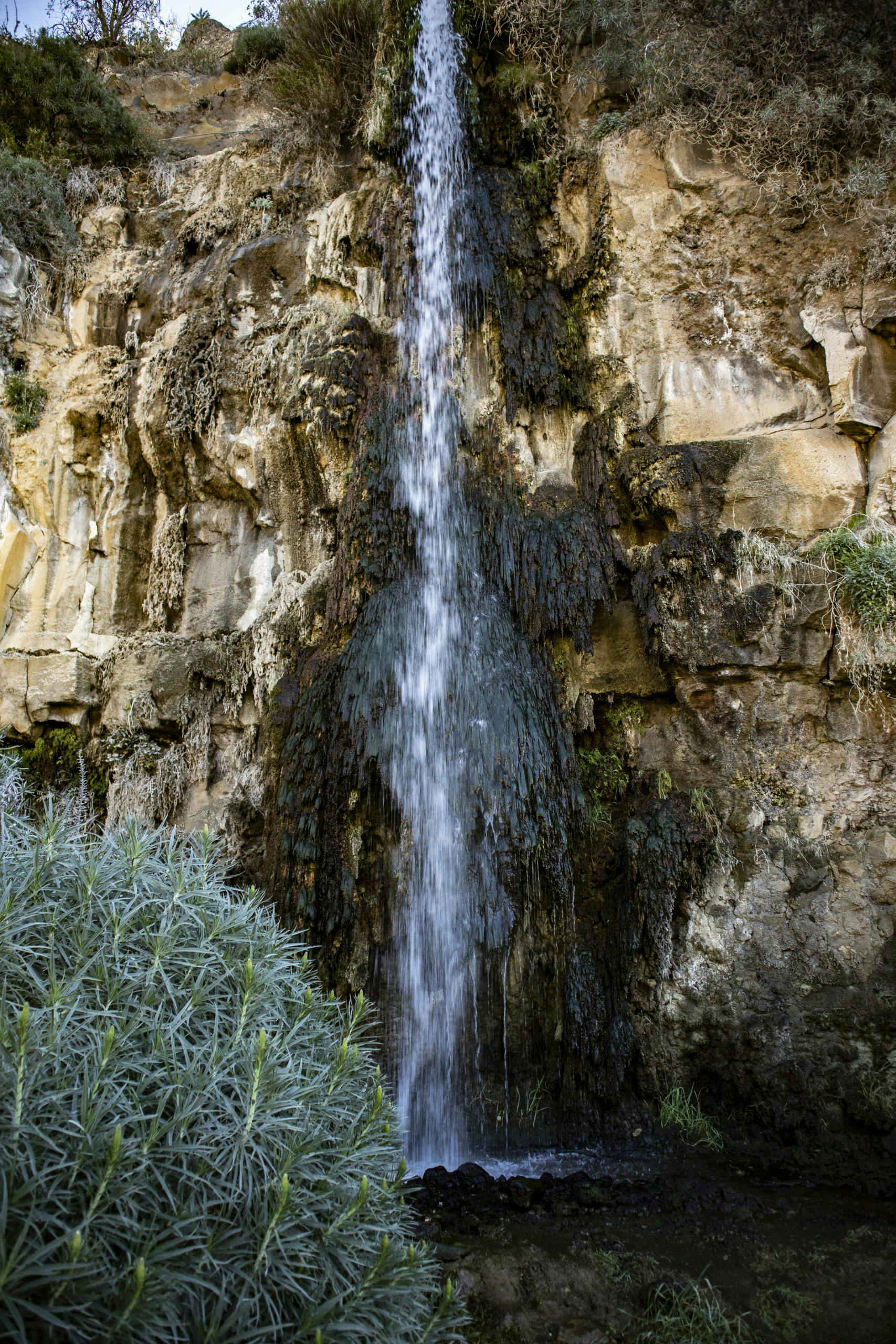 Große Rundwanderung von Vera de Erques zum Wasserfall Cascada de Chindia
