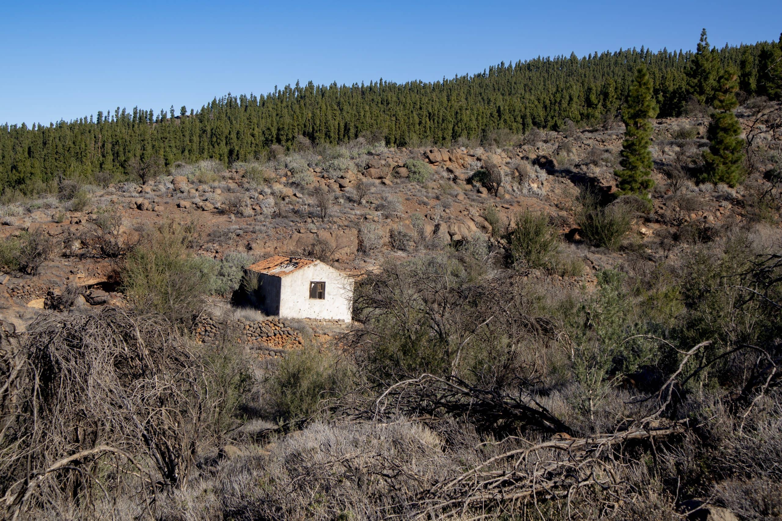 Verlassenes Haus am Wegesrand