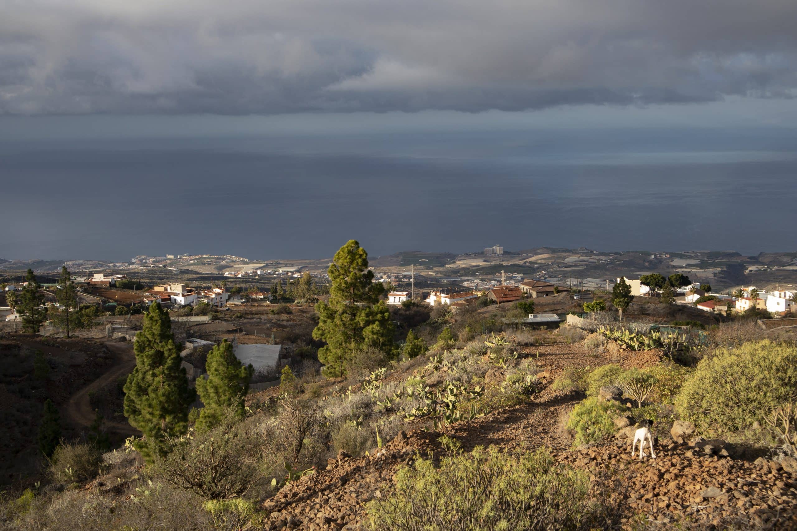 View from the hiking trail back to Vera de Erques