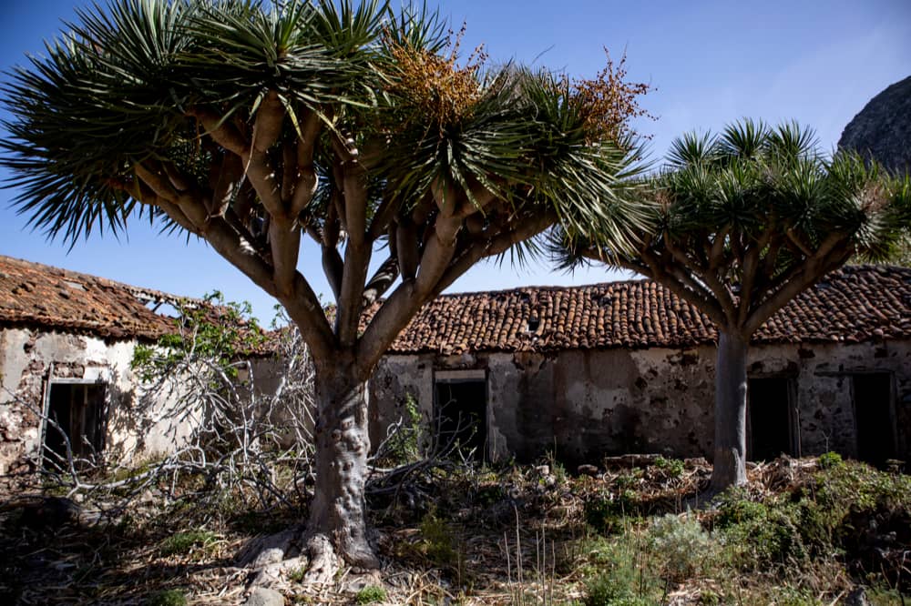 the hamlet of Las Palmas with many abandoned houses