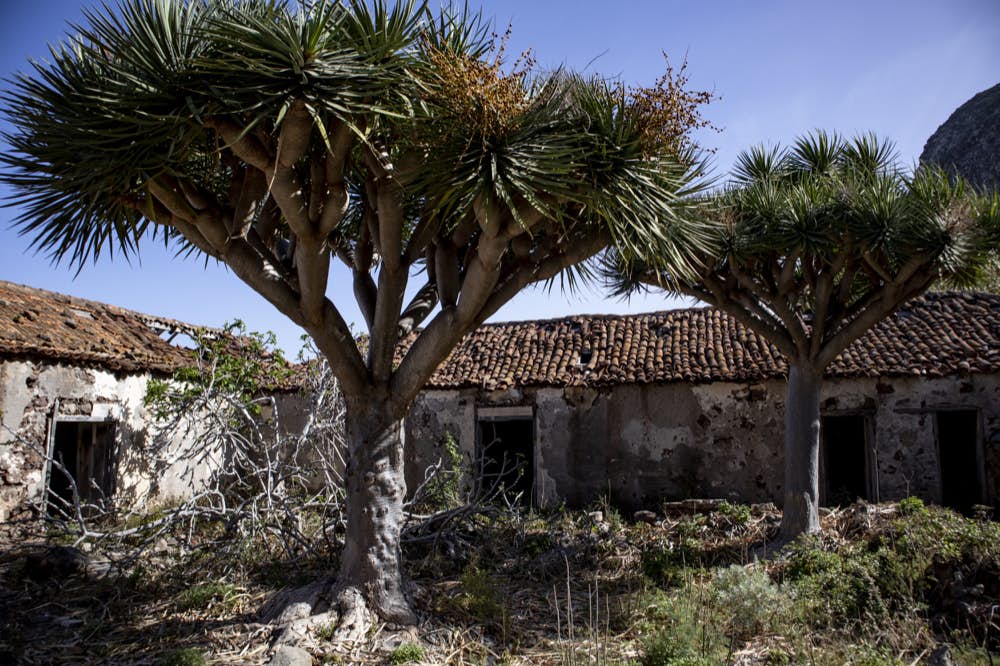 a aldea de Las Palmas con muchas casas abandonadas