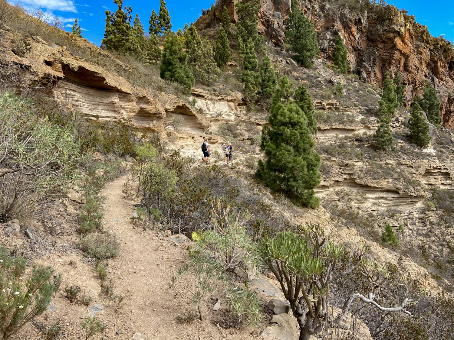 Wanderweg kurz vor dem Plateau zwischen den beiden Schluchten