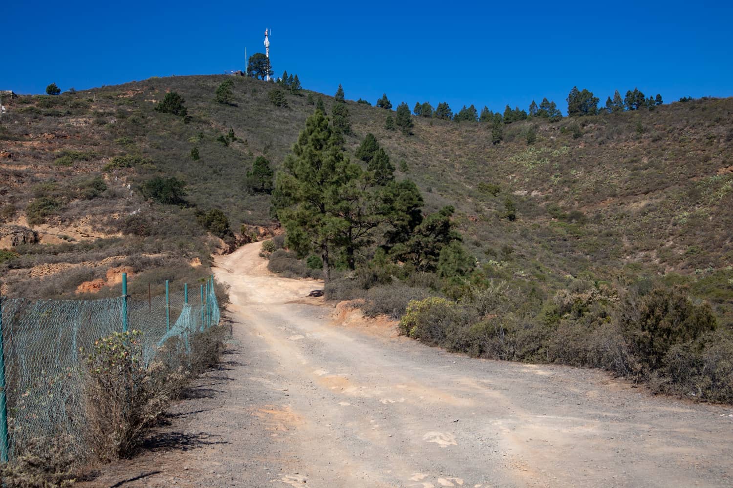 Carretera de acceso a Ventanas Güímar