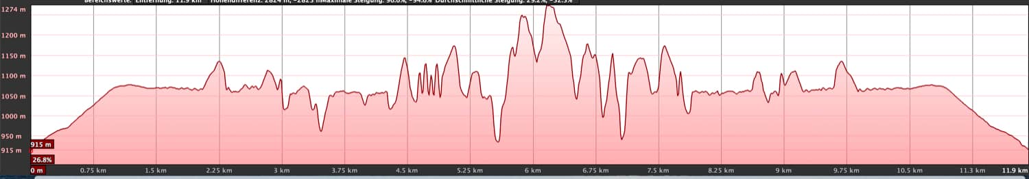 elevation profile ventanas de Güímar (there and back)