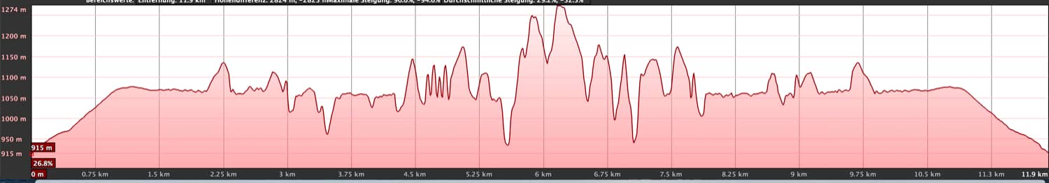 Höhenprofil Ventanas Güímar hin und zurück