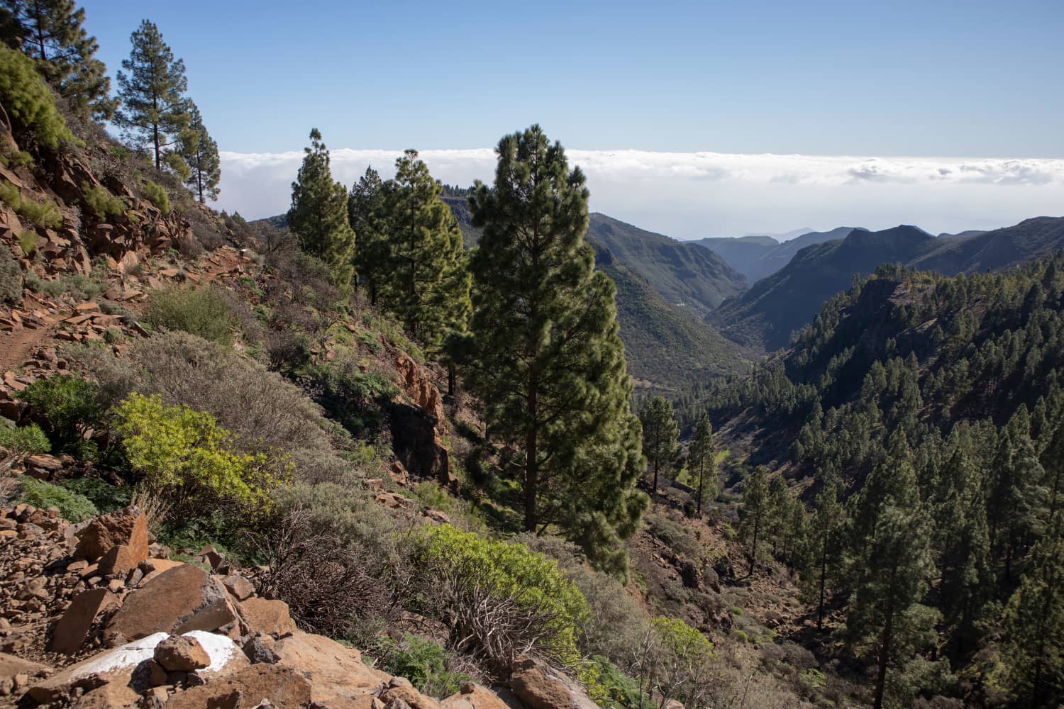 Blick vom Hangweg über der Querung des Barranco de Guayadeque