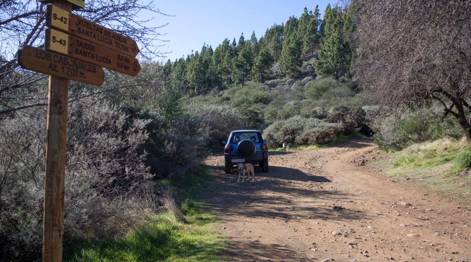 Ausgangspunkt der Wanderung Kleine Runde über dem Barranco de Guayadeque
