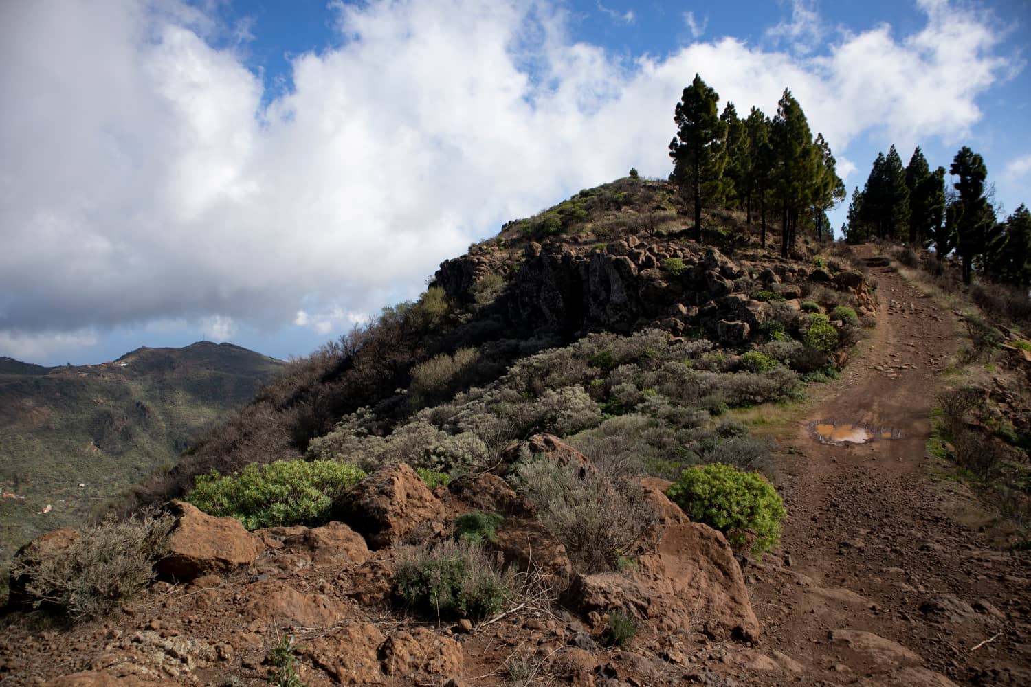 Wanderweg auf dem Fahrweg hoch oben über dem Barranco de Guayadeque