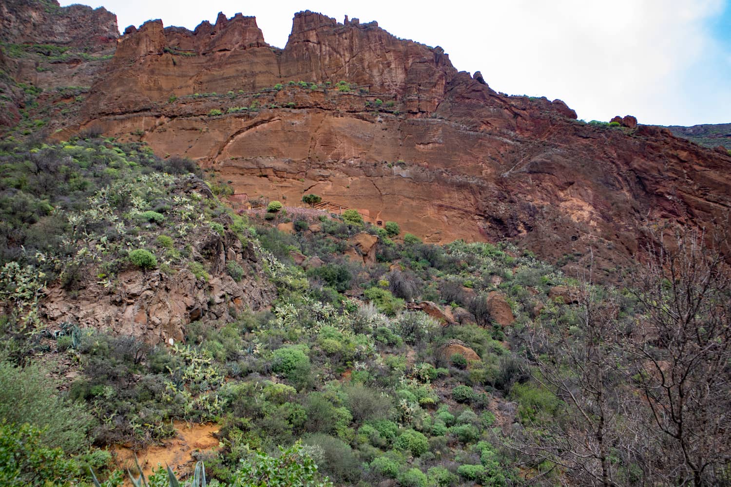 Schroffe Felsen begrenzen den Barranco de Guayadeque - hier: Sepultura de Gigante